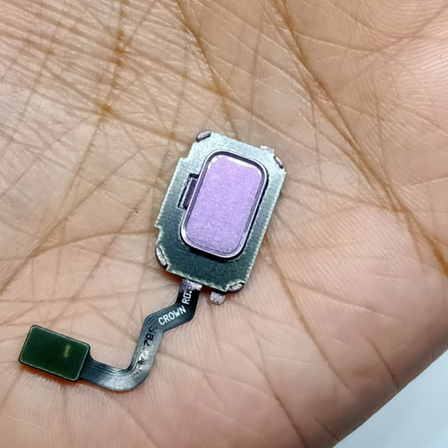 Samsung Note 9 Fingerprint Sensor With Strip In Pakistan hallroad.pk